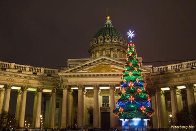 Топ -15 интересных событий в Санкт-Петербурге на Новогодние праздники 2021