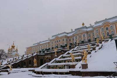 Нижний парк (Петергоф) — Википедия