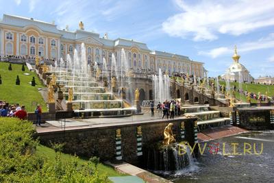 Санкт-Петербург Петергоф Санкт - Бесплатное фото на Pixabay - Pixabay