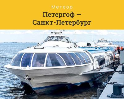 Петергоф в Санкт-Петербурге — моя поездка в 2024 году | Tripex
