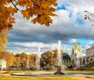 Санкт Петербург Петергоф Фото фотографии