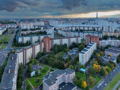 Приморский район Санкт-Петербурга: недвижимость, инфраструктура, работа