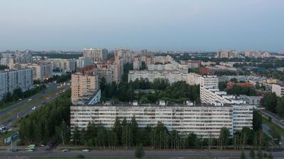 Между городом и лесом: новая точка развития Приморского района