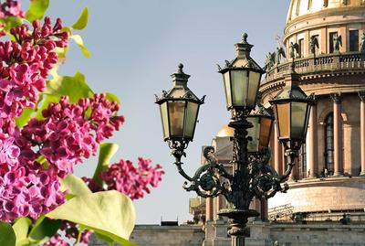 Весна в Санкт-Петербурге – что посмотреть весной, какая будет погода