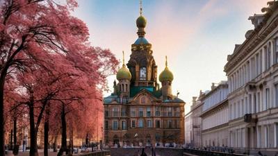 Санкт-Петербург весной: куда сходить и что посмотреть, отдых в Питере  весной 2024 — Суточно.ру