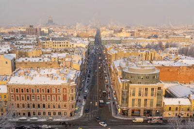 Петербург стал одним из самых популярных направлений для отдыха с детьми в  марте | Телеканал Санкт-Петербург