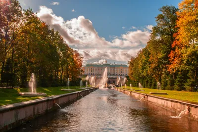 5 причин посетить Санкт-Петербург в октябре | Sokroma - Апарты и Отели |  Дзен