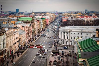 Санкт-Петербург, вид сверху: как легально и безопасно забраться выше  питерских крыш (за 200 рублей) | Беспечный Едок | Дзен