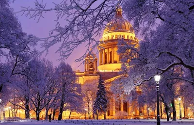 Что посетить в Санкт - Петербурге зимой ? | ГОРОДА И СТРАНЫ | Дзен