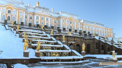 File:Санкт-Петербург, улица Победы сверху зимой.jpg - Wikimedia Commons