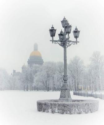 Нева зимой (50 фото) - 50 фото