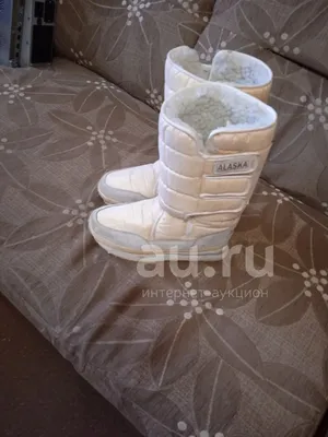 Сапоги Аляска 36р: 150 000 сум - Женская обувь Ташкент на Olx