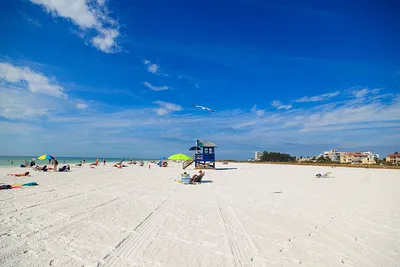Sarasota Florida - Top 10 Things to See and Do - Top Attractions - YouTube