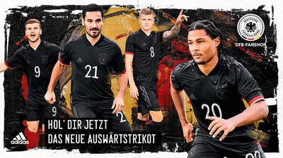 Ответ на пост «Сборная Германии по футболу покидает Чемпионат Мира 2022» |  Пикабу