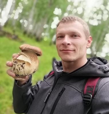 Челябинская пенсионерка собрала грибы размером с голову │ Челябинск сегодня