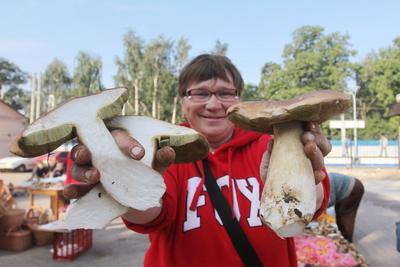 Краснокнижные и смертельно опасные: учёные назвали ядовитые грибы  Краснодарского края | Блокнот Краснодар | Дзен