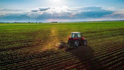 Сельское хозяйство Германии фото