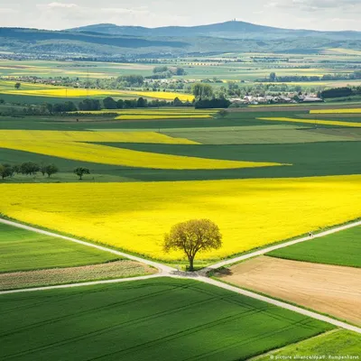 Сельское хозяйство Германии (Большое количество фото) - treepics.ru