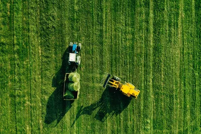 Итоги цифровизации: за 20 лет число фермерских хозяйств в Германии  сократилось с 450 тысяч до 265 тысяч | Клуб экспертов зернового рынка