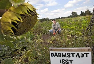 В Германии заявили о колоссальном потенциале России в сельском хозяйстве