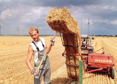 Граждан Грузии легально трудоустроят в сельском хозяйстве Германии  [инструкция] - SOVA
