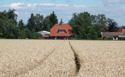 Земледелие в Германии стоковое изображение. изображение насчитывающей  отрава - 82217147