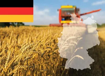 Сельское Хозяйство Германии — стоковые фотографии и другие картинки Сельское  хозяйство - Сельское хозяйство, Биология, Трактор - iStock