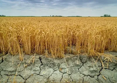 ФАО приветствует взнос Германии и Швеции в размере 3 миллионов долларов  США, предназначенный для помощи фермерам в их борьбе с последствиями  изменения климата