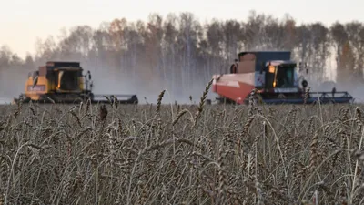 В Германии засуха, фермеры требуют больше воды: сначала поле