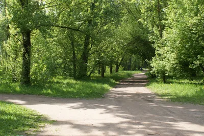 Севастопольский парк (Минск) — Википедия