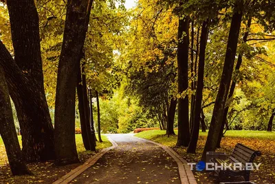 Минск: Севастопольский парк и частный сектор