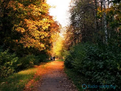Севастопольский парк в Минске. Схема проезда, фото, отзывы