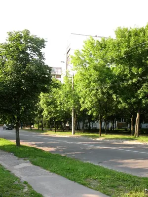 Севастопольский парк в Минске (Белоруссия) с фото и отзывами