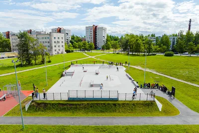 В зимнем парке. Севастопольский парк в городе Минск :: Nonna – Социальная  сеть ФотоКто