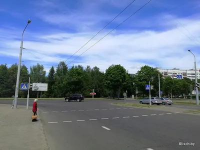 Бетонный скейт парк в Красном Селе в Санкт-Петербурге │ Портфолио │Компания  FK-Ramps