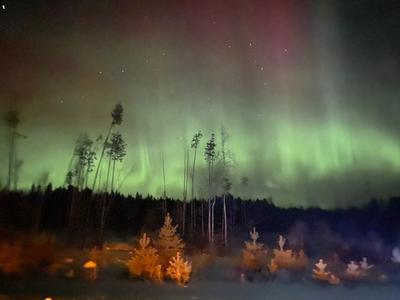 В небе под Екатеринбургом заметили северное сияние: необыкновенные фото -  16 февраля 2023 - Е1.ру
