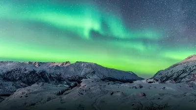 Северное сияние озарило небо над Губкинским: красочные фото северян