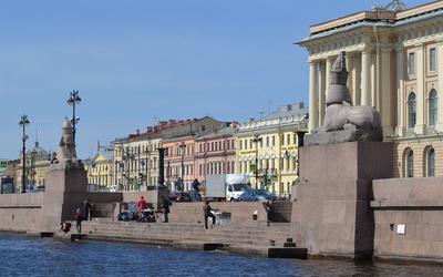 Сколько сфинксов в Санкт-Петербурге? | MY TRAVELHOOD | Дзен