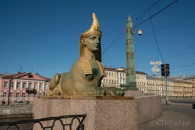 Сфинксы в Санкт-Петербурге | это... Что такое Сфинксы в Санкт-Петербурге?
