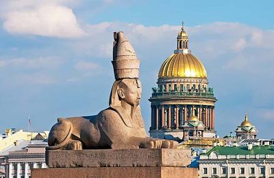 Проклятие сфинксов на набережной Санкт-Петербурга: что происходит с людьми,  которые долго смотрят на статуи - Рамблер/новости