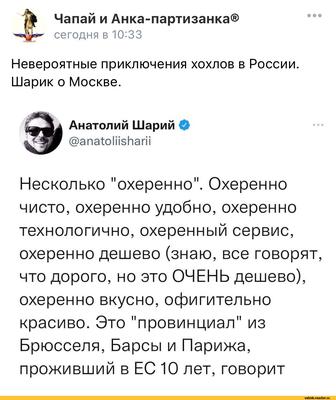 Блогер Шарий перед атакой на дом сообщал в полицию, что ему угрожают - РИА  Новости, 25.10.2023