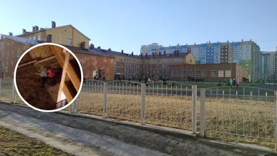 Школа 153: последние новости на сегодня, самые свежие сведения | НГС24.ру -  новости Красноярска