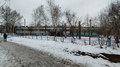 Знаменитая 82-я школа в Новосибирске лишилась дюжины учителей | Новости –  Gorsite.ru