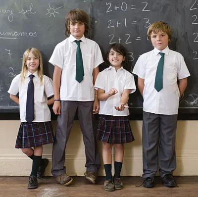 Самостоятельные заказы из Европы и США: Школьная форма. | School uniform  dress, Private school uniforms, School fashion