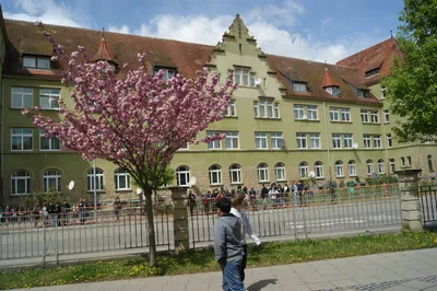 Система образования в Германии: школы | Немецкий язык онлайн. Изучение,  уроки.