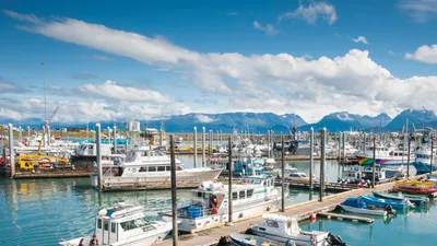 Best Alaska Cruises for Different Travel Styles - NerdWallet