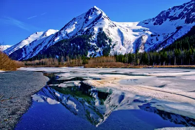 Most Popular National Parks in Alaska – Princess Lodges