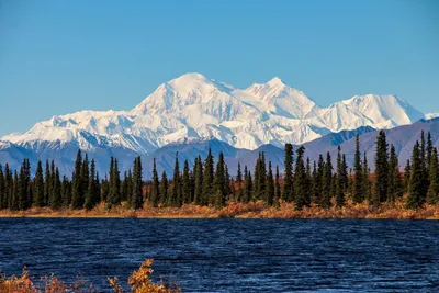 Alaska Cruise - Denali National Park - Princess Cruises