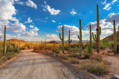 The Nature Conservancy in Arizona