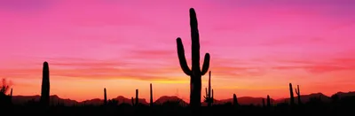 Welcome to Arizona (@welcometoarizona) • Instagram photos and videos